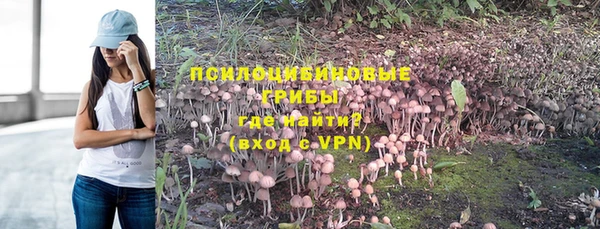 mix Калининец