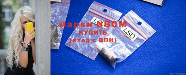 крисы Нижний Тагил