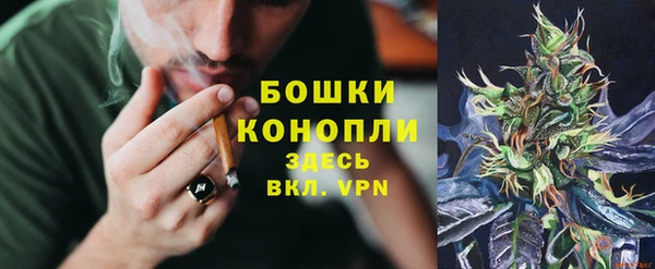 spice Фёдоровский