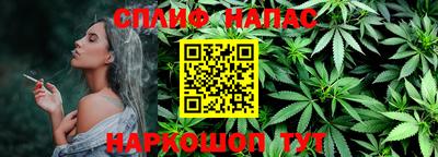 крисы Беслан