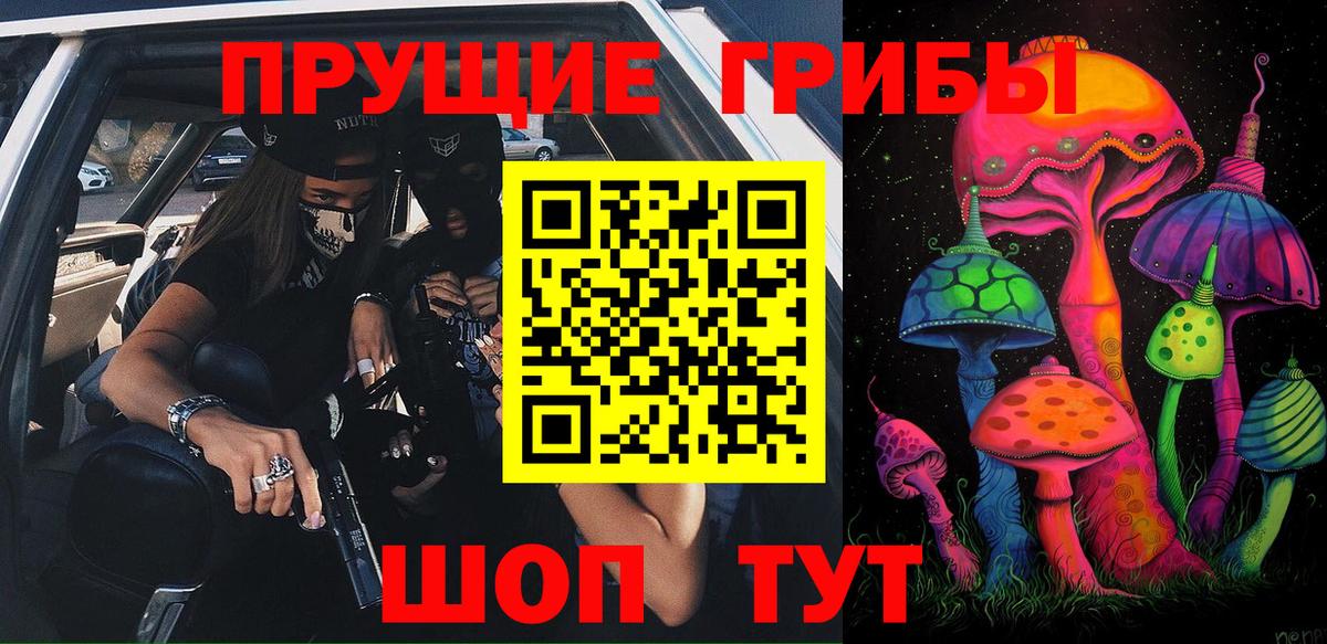 Краснознаменск  Галлюциногенные грибы прущие грибы  Вход с VPN 