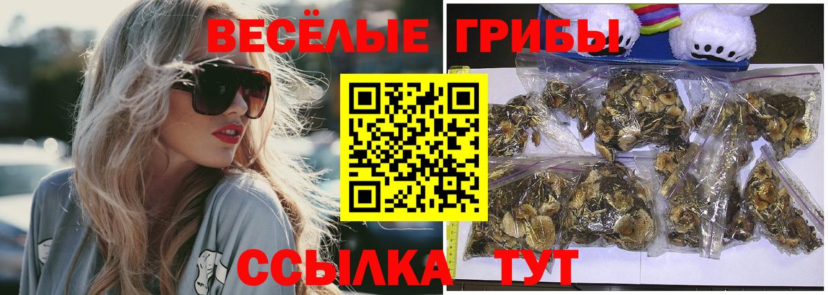 Псилоцибиновые грибы мухоморы  Краснознаменск  Псилоцибиновые грибы GOLDEN TEACHER 