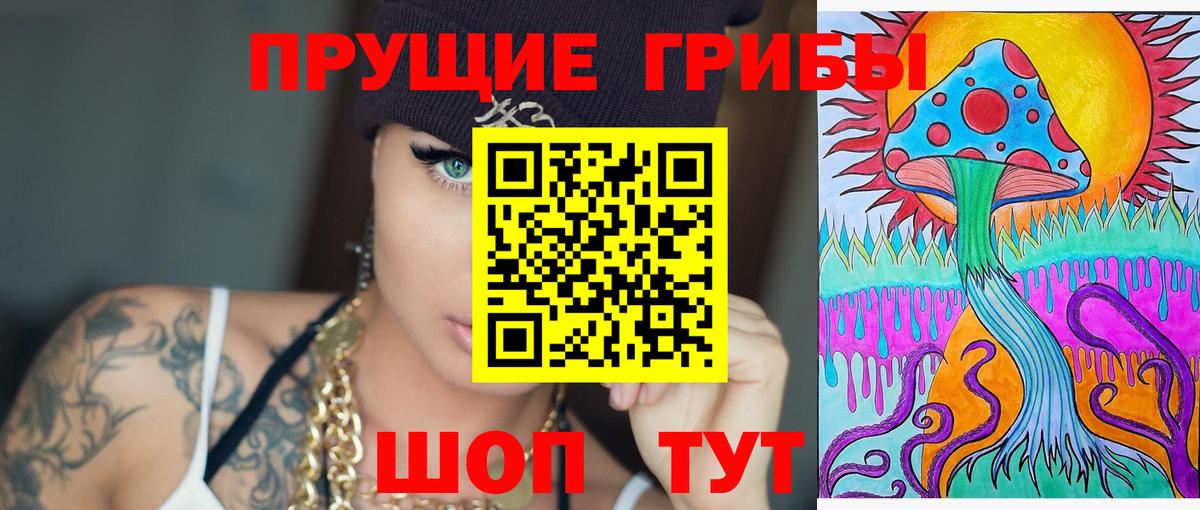 Псилоцибиновые грибы Cubensis Краснознаменск